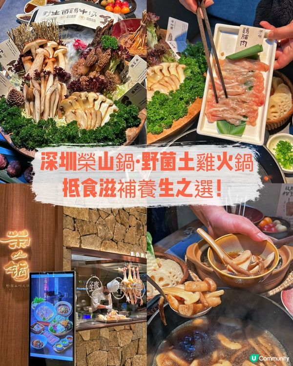 深圳福田榮山鍋野菌土雞火鍋🍲週末滋補之旅！