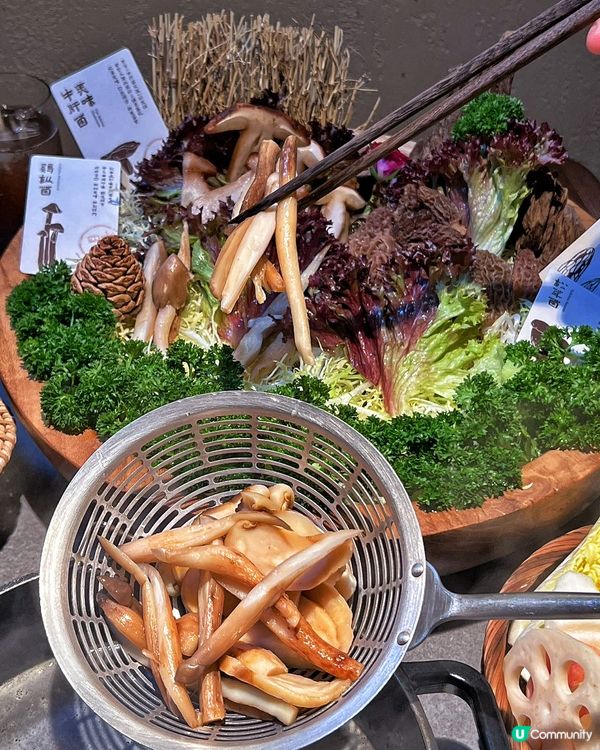 深圳福田榮山鍋野菌土雞火鍋🍲週末滋補之旅！
