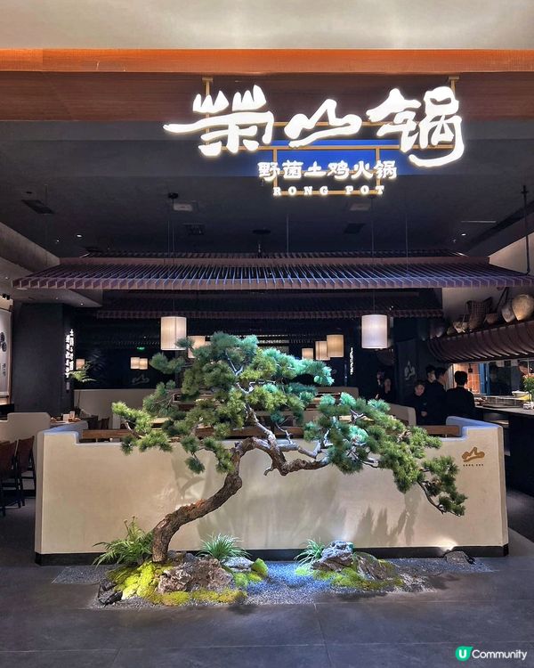 深圳福田榮山鍋野菌土雞火鍋🍲週末滋補之旅！
