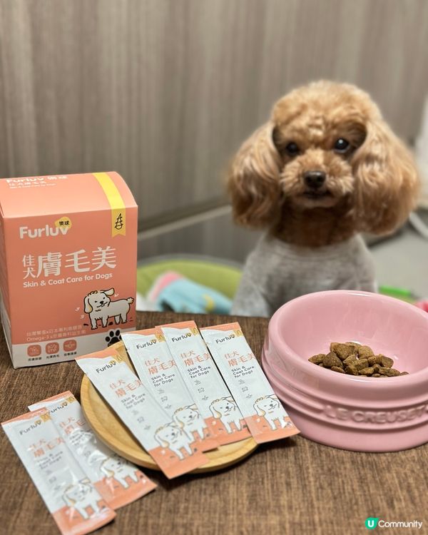 🐶 轉天氣叮叮又痕癢？😭