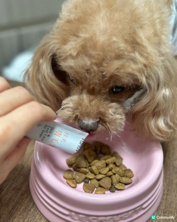 🐶 轉天氣叮叮又痕癢？😭