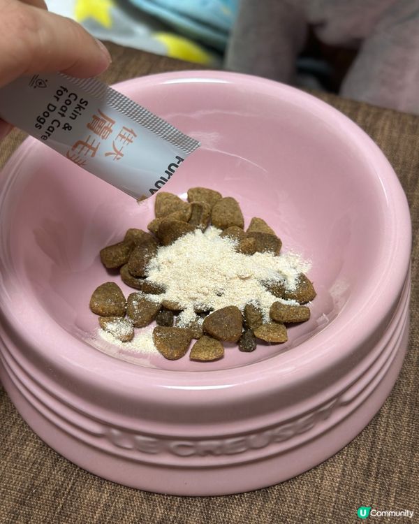 🐶 轉天氣叮叮又痕癢？😭