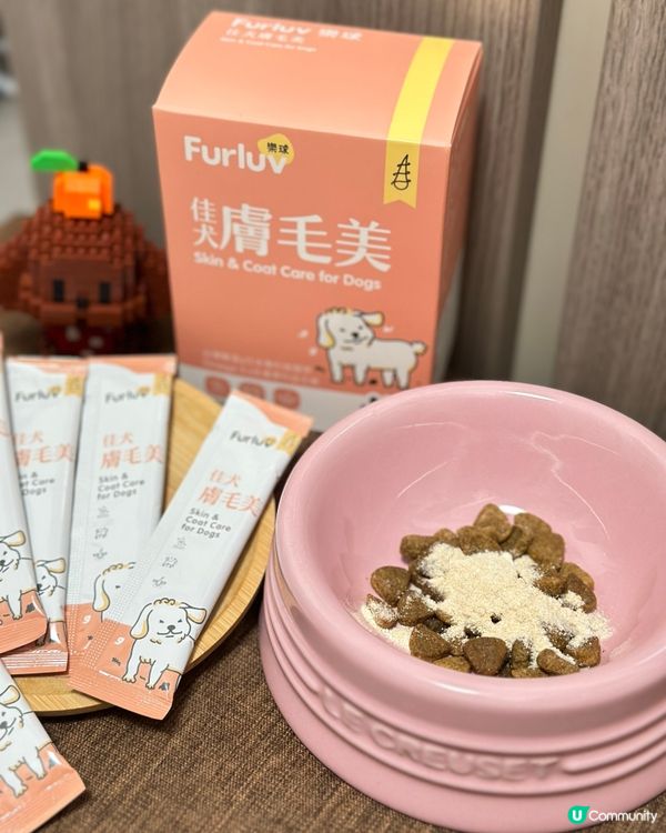 🐶 轉天氣叮叮又痕癢？😭