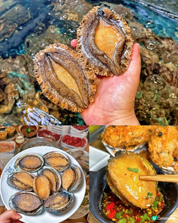 深圳巨鮑放題！238蚊人仔任食！😱🤤