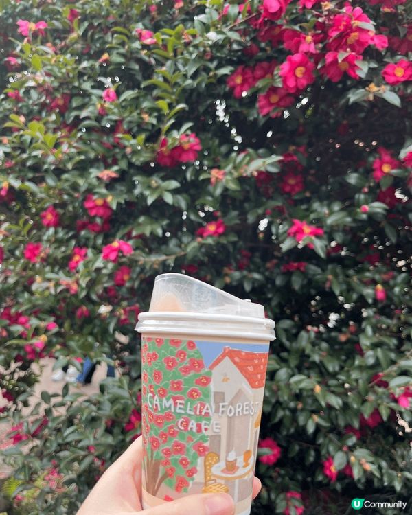 山茶花森林，位於濟州島的西歸浦市，園中周圍都有適合拍照的景點...