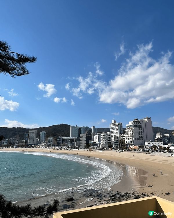 釜山靚靚Cafe。釜山嘅Cafe仲多過香港嘅金舖或者藥房！每...