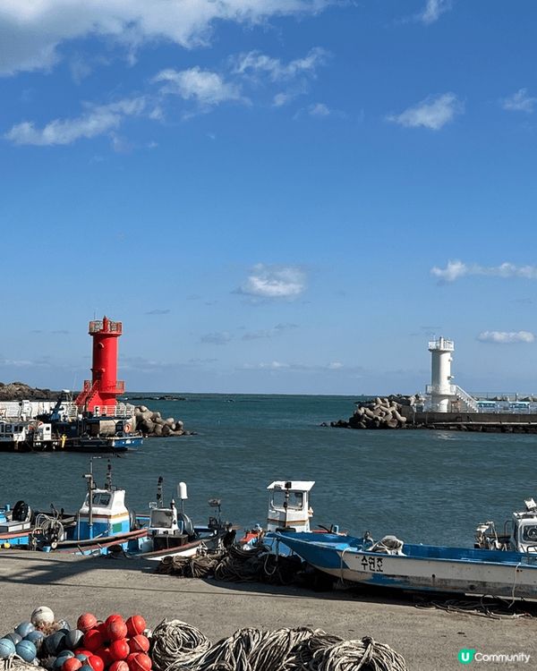 釜山靚靚Cafe。釜山嘅Cafe仲多過香港嘅金舖或者藥房！每...