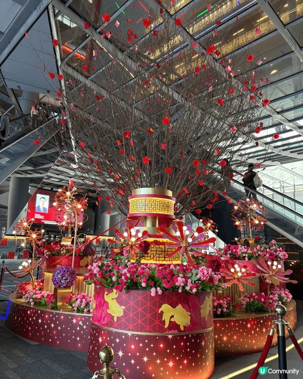 中環匯豐銀行總行農曆新年佈置，祝大家花開富貴，心想事成！
