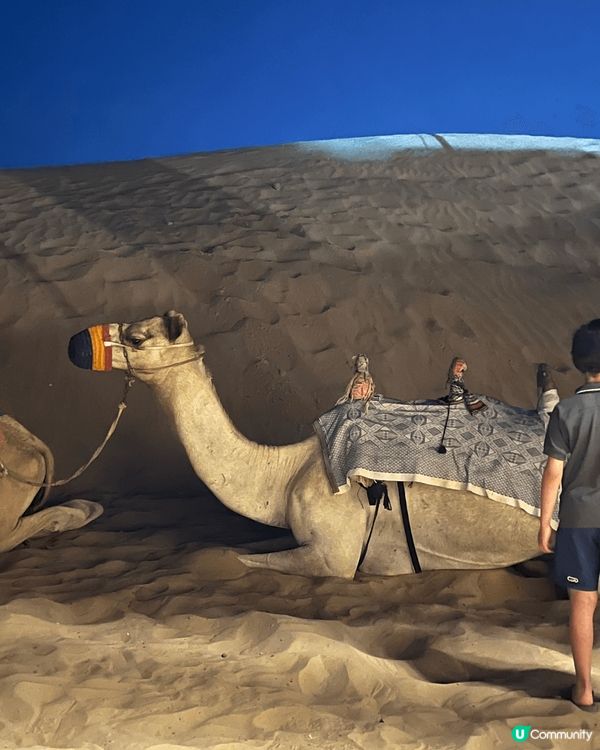 一生人必定最少去一次嘅阿拉伯沙漠！風景真係好靚，但係記得最好...