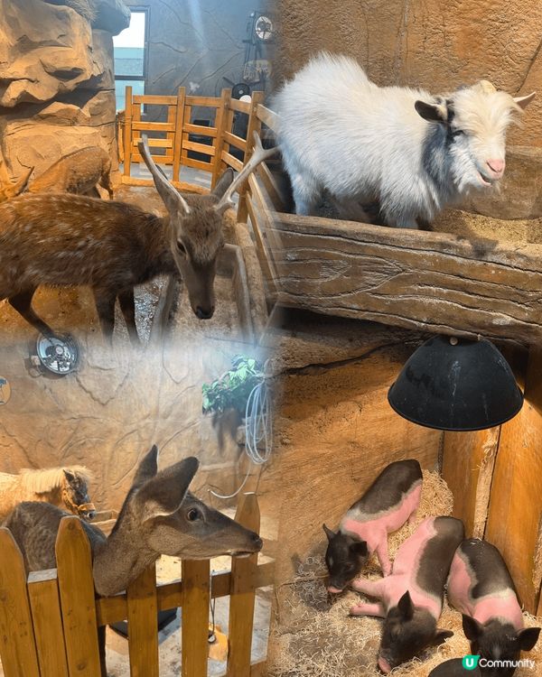 深圳打卡點，商場餐廳啡啡店，美妝、電子產品、親子玩樂好齊全