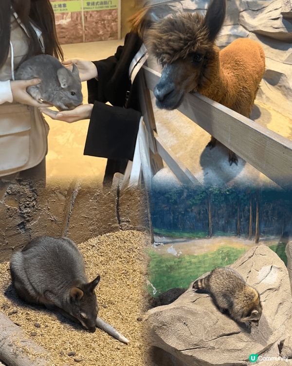 深圳打卡點，商場餐廳啡啡店，美妝、電子產品、親子玩樂好齊全