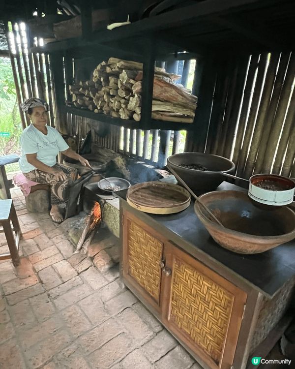 喺烏布森林享受住峇里島特產貓屎咖啡，完全係心靈療癒之旅
