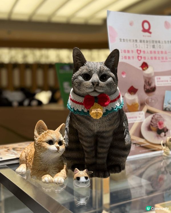 🌟【QUE @希慎廣場】黑松露迷嘅天堂！