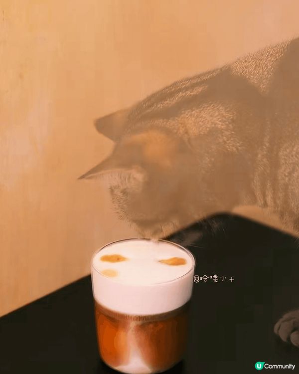 自製焦糖醬·可可焦糖好般配巨巨好喝