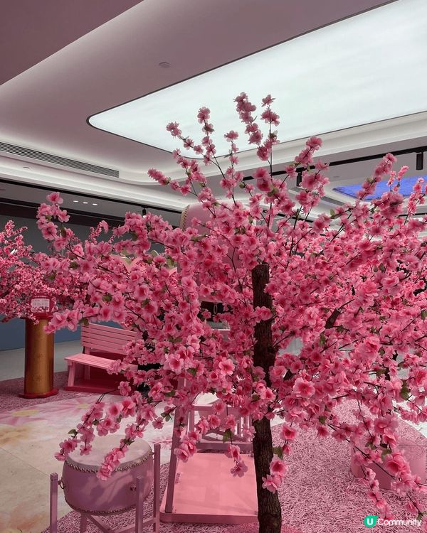沙田新城市廣場的新年佈置桃花開運庭園有四米高的幻彩桃花樹，可...