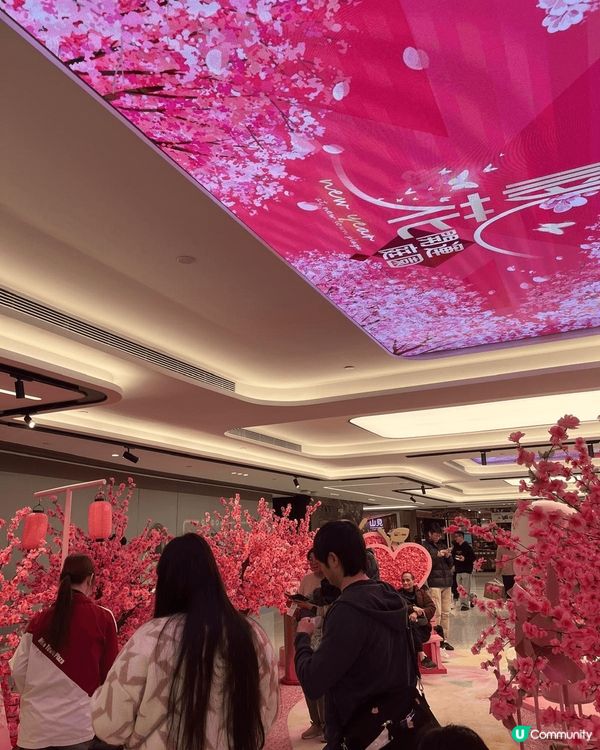 沙田新城市廣場的新年佈置桃花開運庭園有四米高的幻彩桃花樹，可...