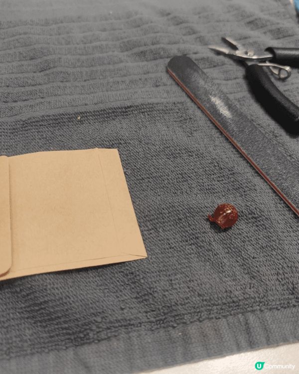 今日参加咗「食物残渣升級再造手链工坊」，真系好有意义又好玩！...