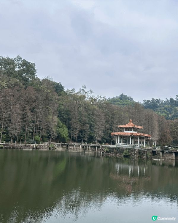 深圳仙湖植物園，近蓮塘口岸方便到達，有一個仙人掌欣賞區，內有...