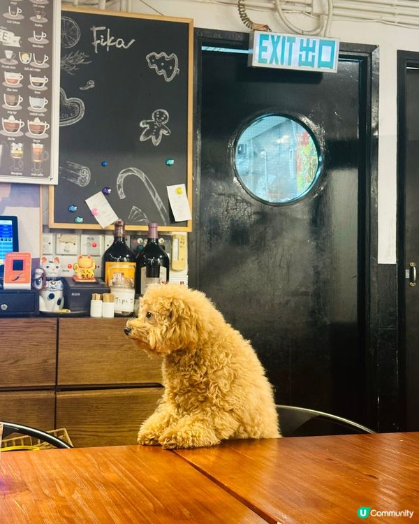 [坑口］狗店主坐鎮隱世高質西餐廳🍝