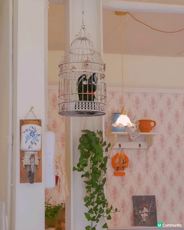 首爾延南洞Koriko Cafe絕對係人氣打卡熱點。未踏入C...