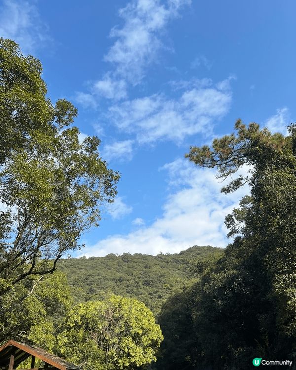 獅子山公園係唔錯的行山路經，全程來回時間約2-3小時，非常適...