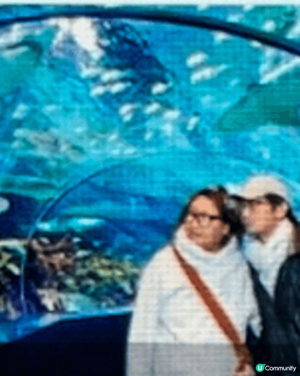 跟伴侶在加拿大水族館拍拖，看下不同款式的魚，還有滑行段企定定...