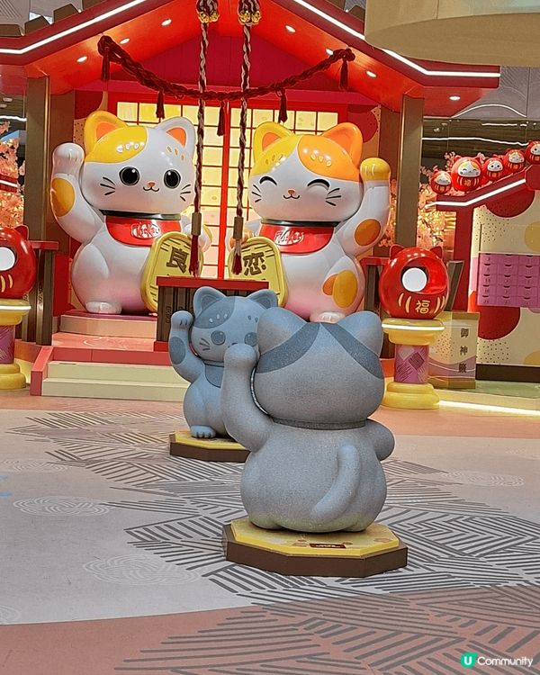 東薈城招財貓，機場阿元來了的台式鰻魚飯，Bacha的優質咖啡...