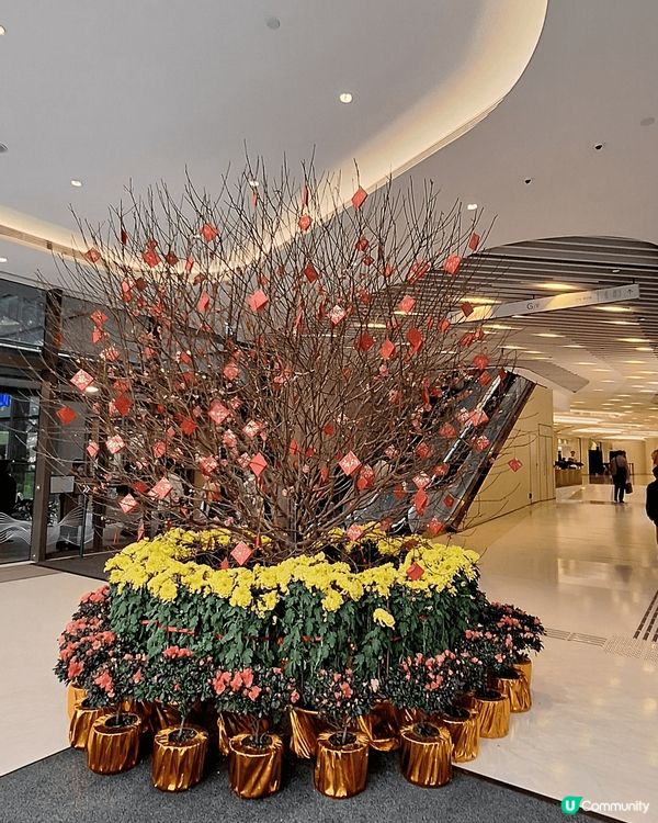 東薈城招財貓，機場阿元來了的台式鰻魚飯，Bacha的優質咖啡...