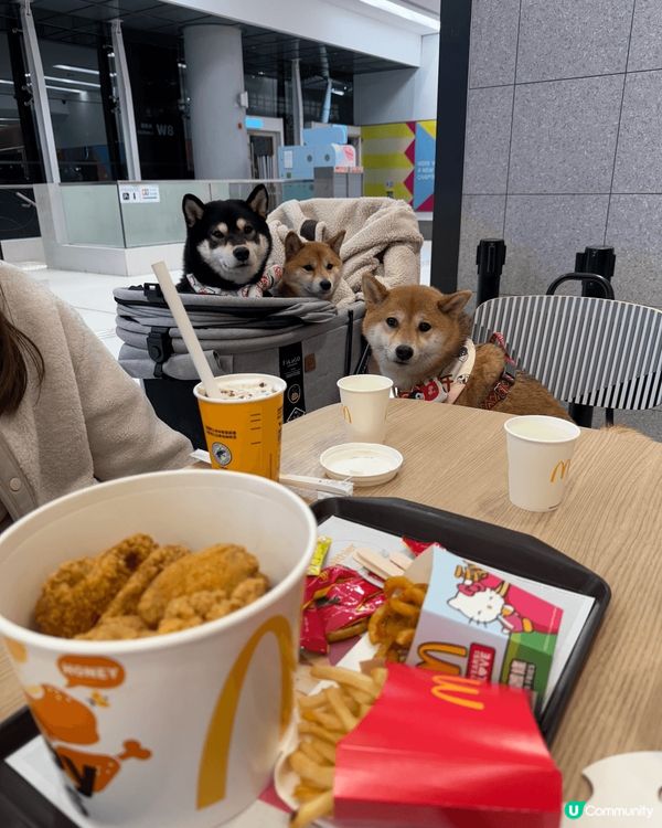 就算食快餐店,只要係同老best一齊,快餐都可以好好食, 快...