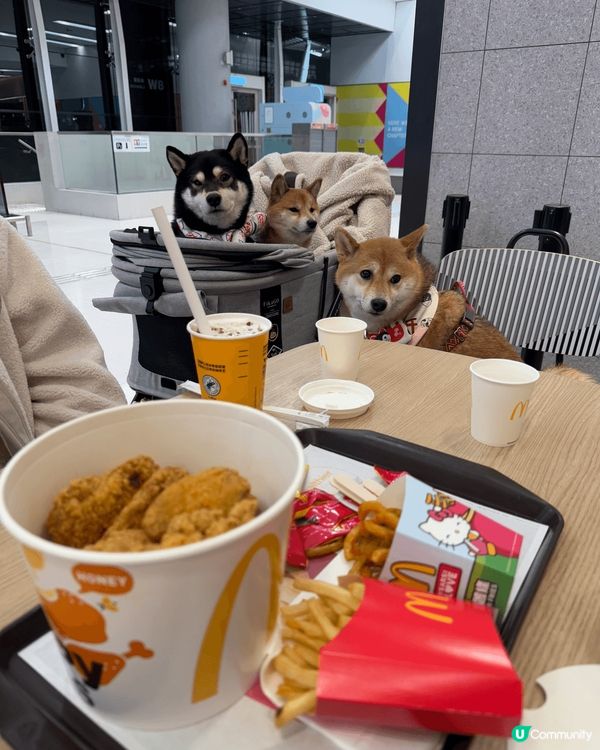 就算食快餐店,只要係同老best一齊,快餐都可以好好食, 快...