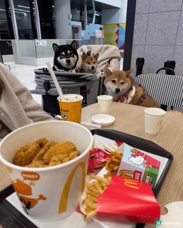 就算食快餐店,只要係同老best一齊,快餐都可以好好食, 快...