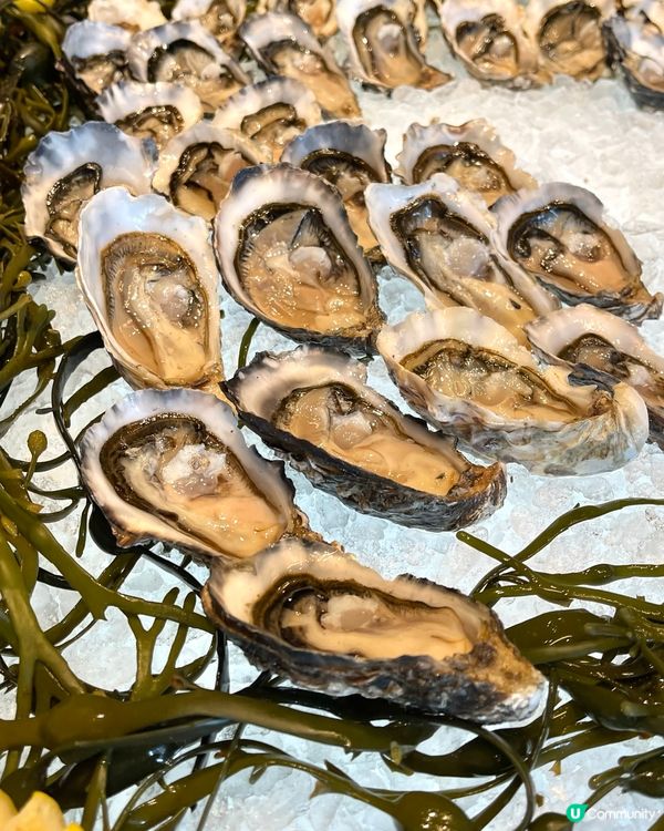 精彩半自助餐lunch