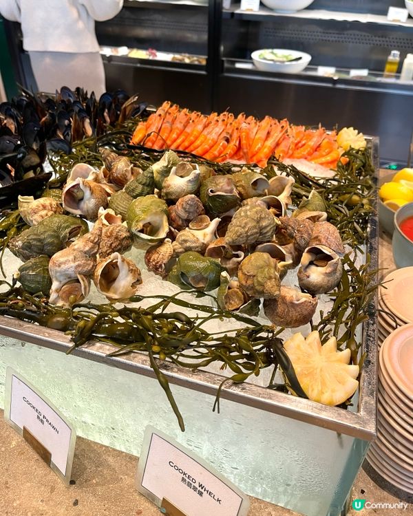 精彩半自助餐lunch