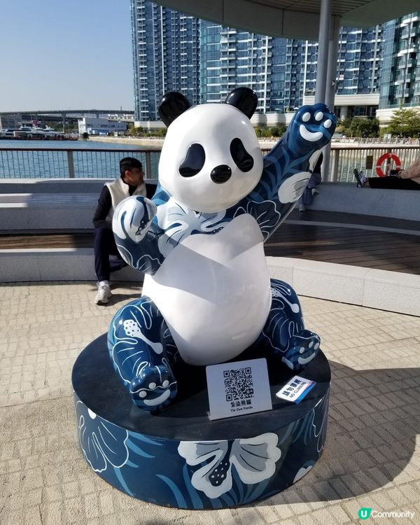 12隻熊貓在海濱