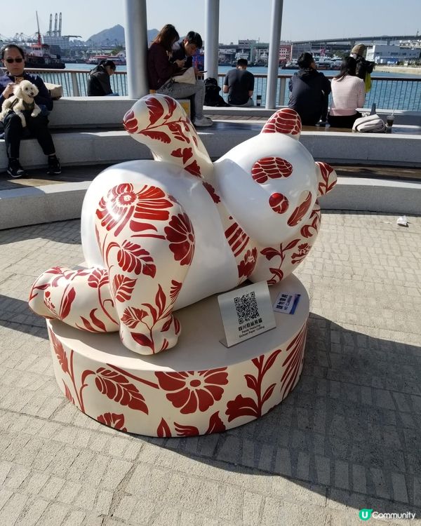 12隻熊貓在海濱