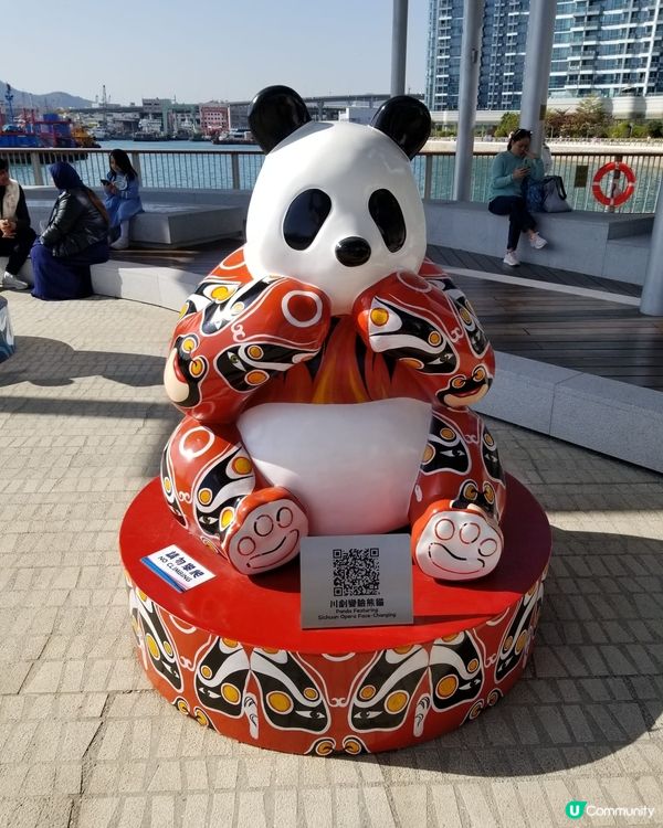 12隻熊貓在海濱