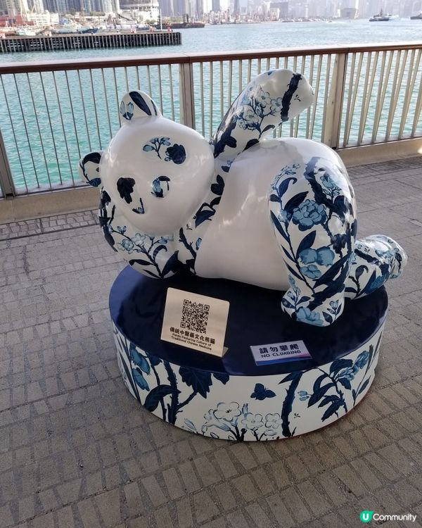 12隻熊貓在海濱