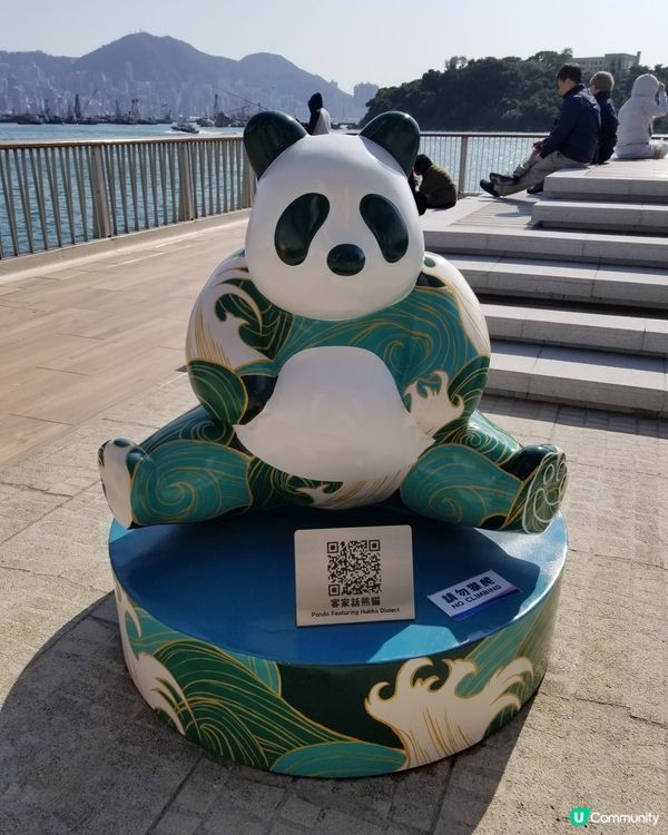 12隻熊貓在海濱