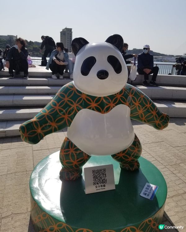 12隻熊貓在海濱