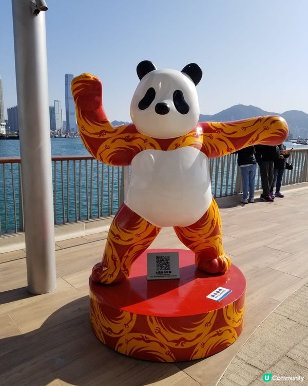 12隻熊貓在海濱