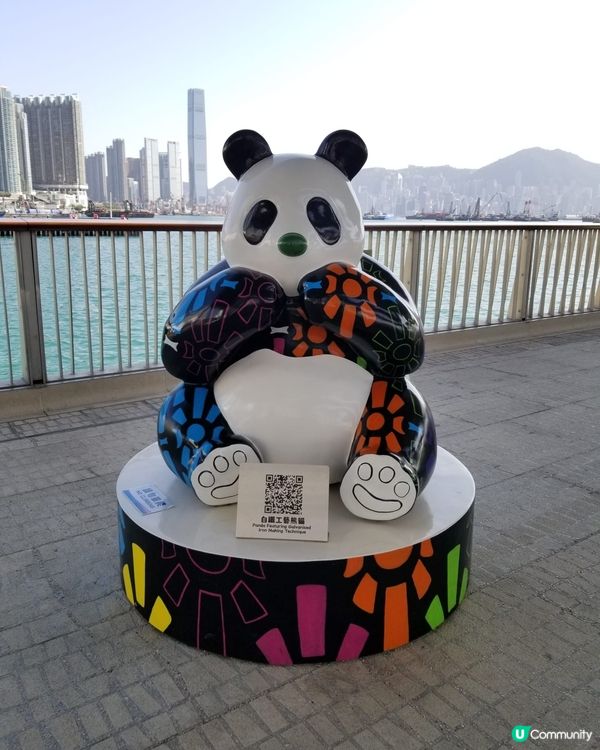 12隻熊貓在海濱