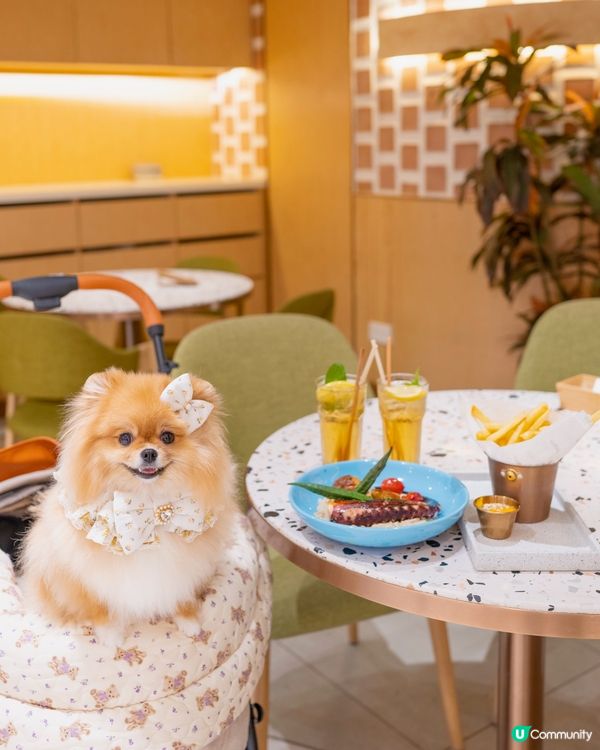 爸爸媽媽帶我去食拍拖餐廳🥰