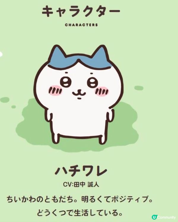 Chiikawa 角色介紹 - 小八