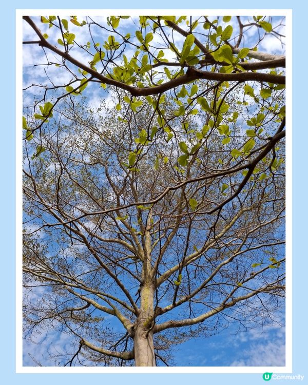 坪洲遊❣️小島悠閒寧静享受 😊💜🤗🫶