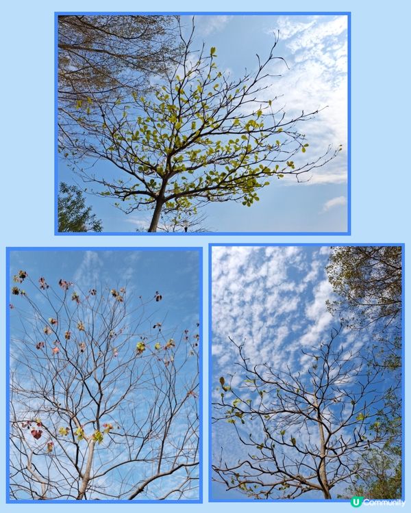 坪洲遊❣️小島悠閒寧静享受 😊💜🤗🫶