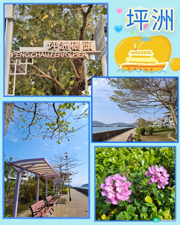 坪洲遊❣️小島悠閒寧静享受 😊💜🤗🫶