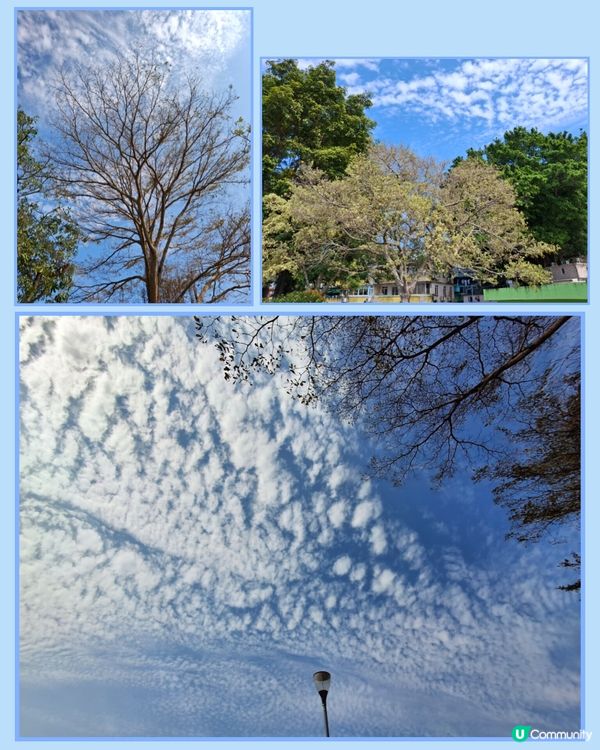 坪洲遊❣️小島悠閒寧静享受 😊💜🤗🫶