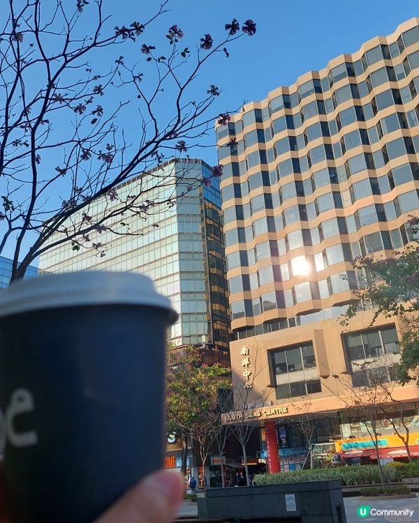 😍😍😍尖東一咖啡 - NOC