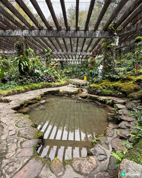 深圳仙湖植物園