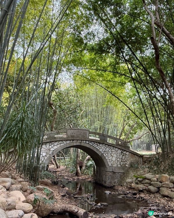 深圳仙湖植物園